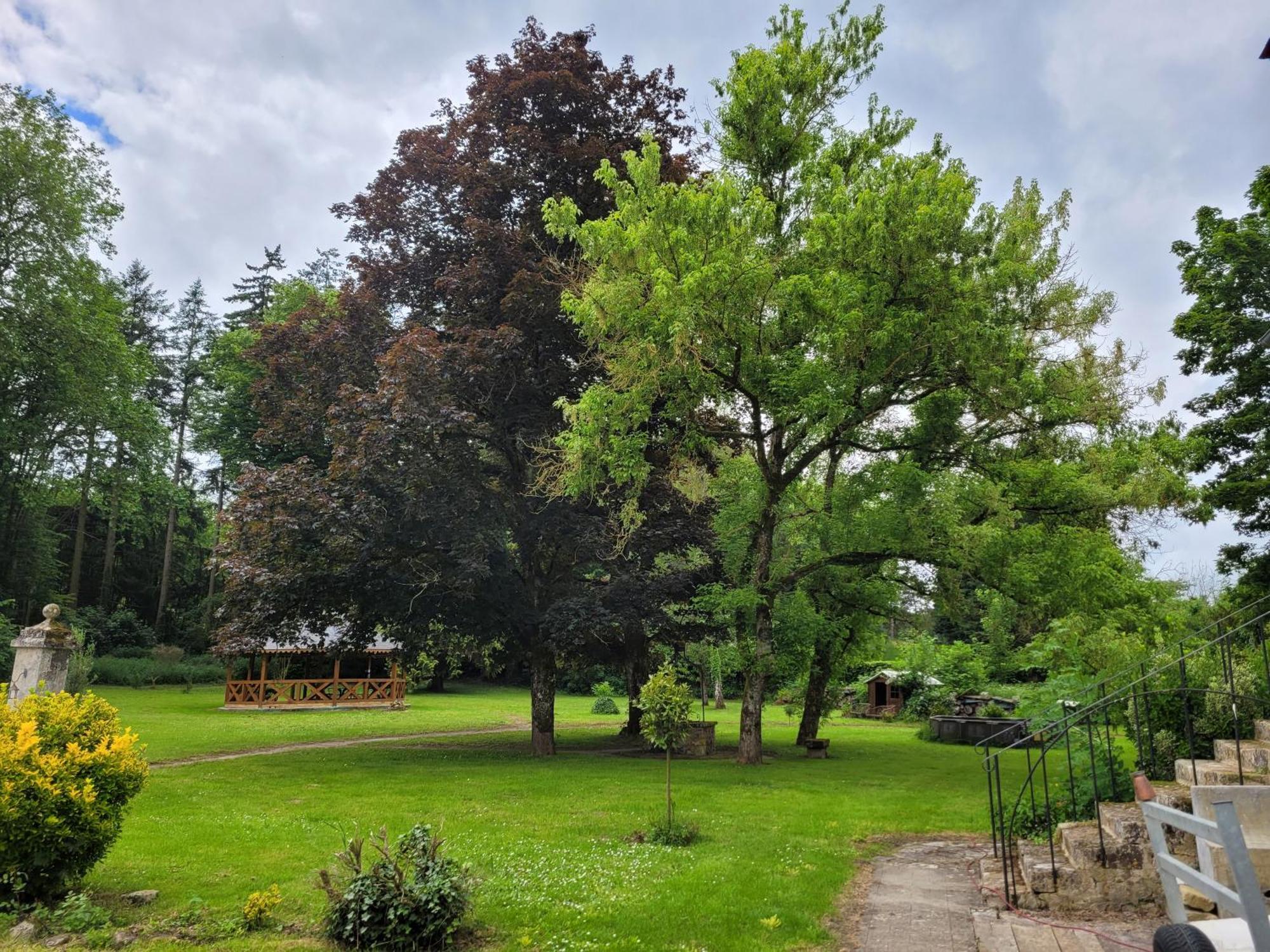 Le Manoir Paradi Appartement Presles-et-Thierny Buitenkant foto